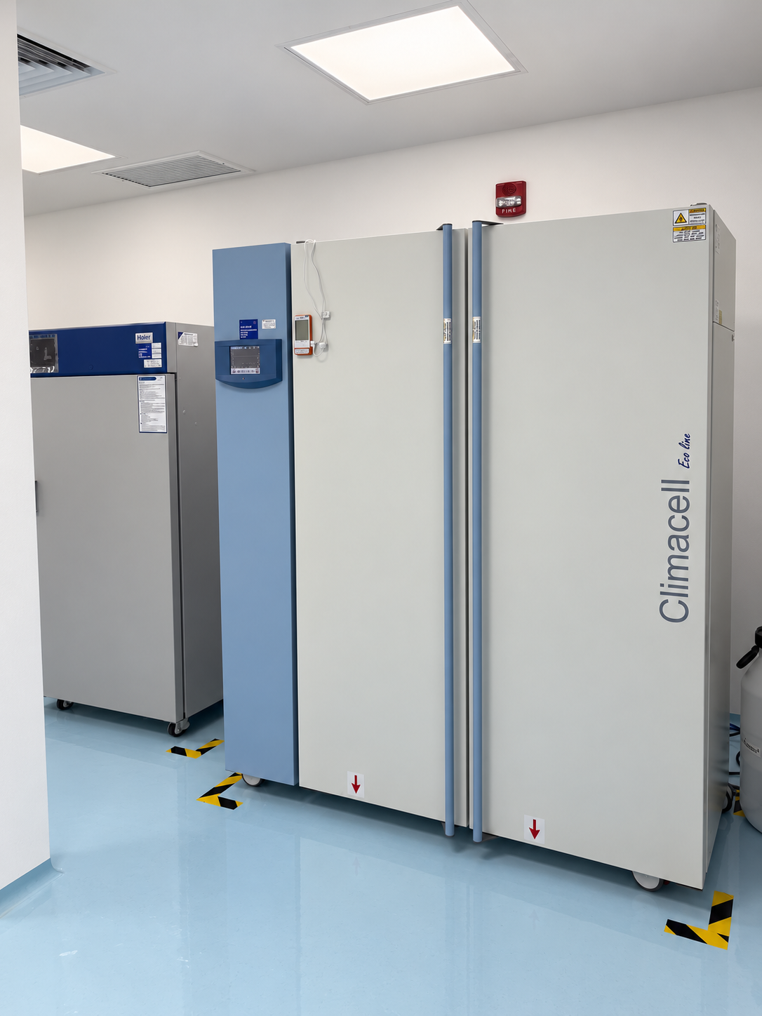 Instalaciones Catenado Labs — foto 18